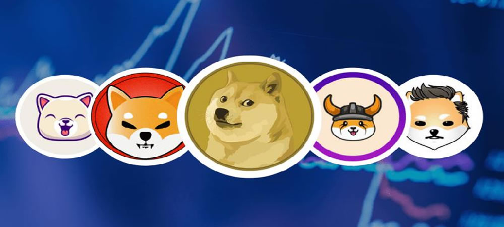 Köpek Meme Tokenler 2022’de Ne Olacak ?